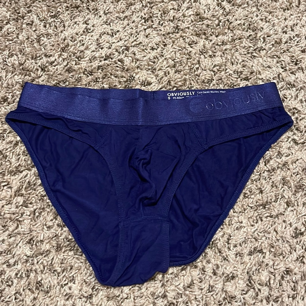 Obviously Brief